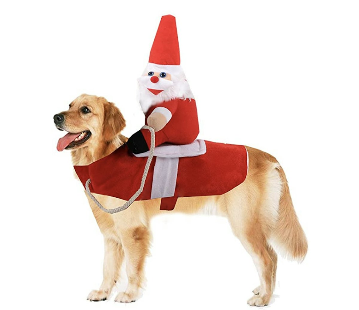 The Best Dog Christmas Jumpers Lifestyle Closer